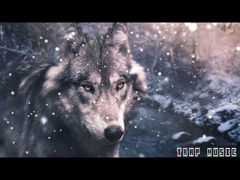 Nick Kech & John Rous - She Wolf (Bootleg)