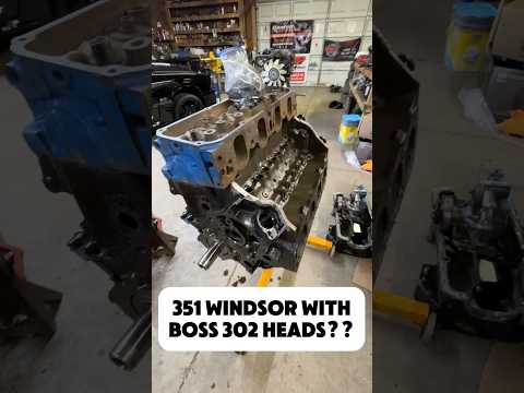 351 Windsor mit BOSS 302-Köpfen!? #clevor