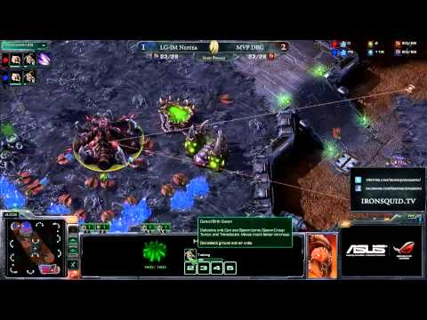 IM NesTea (Z) vs DongRaeGu (Z) G4 - Iron Squid Chapter II - Semi-Finals
