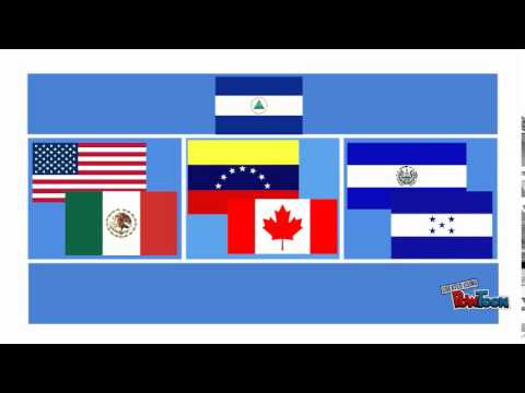 CACM ( Central American Common Market)