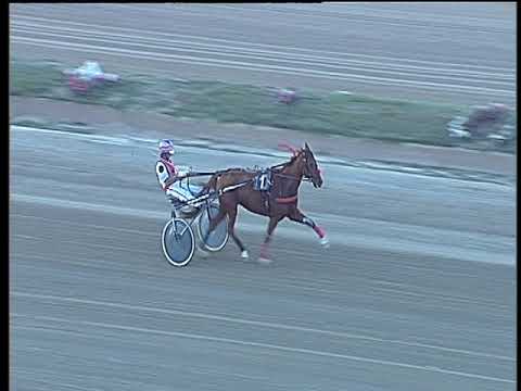 Trotto 15/10/2017 - 1ª prova di qualifica