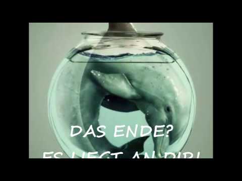 Die Geschichte von