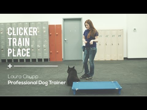 clicker train place