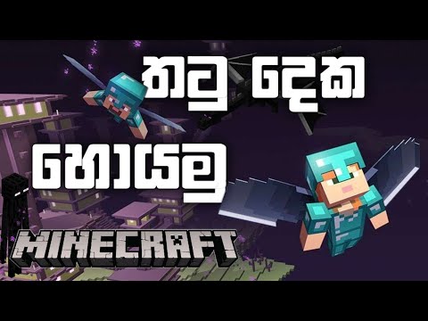 UNBELIEVABLE! Finding two flying wings in Minecraft