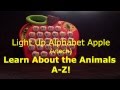 Light Up Alphabet Apple Vetch Learn About Animals A Z