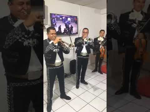 CHUY LIZARRAGA- "NOMAS ESTE REY" CON MARIACHI EN VIVO