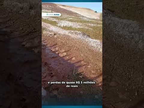 Chuva de granizo provoca prejuízos na região Norte gaúcha