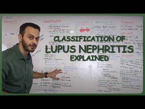 Lupus Nephritis Classifications Explained - NasirMed