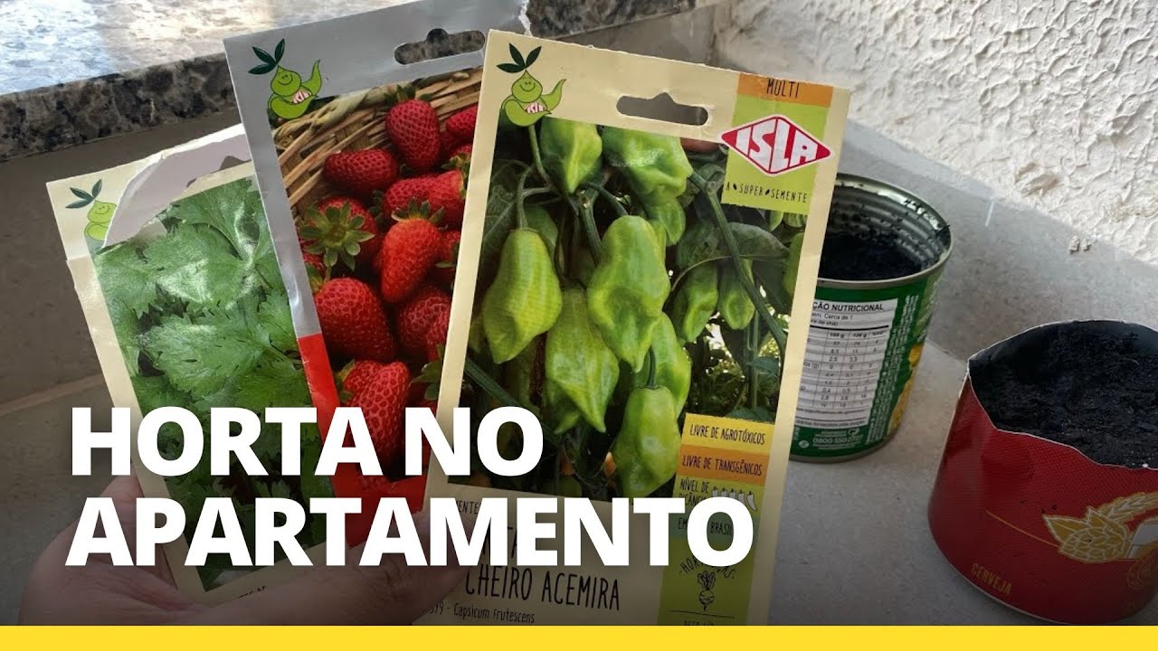 Horta em apartamento 2025: guia passo a passo e funciona?