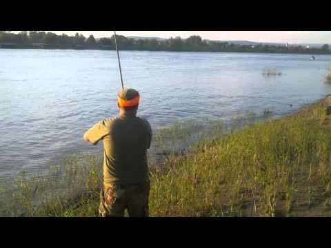 Šaran 4kg = Danijel Miškić Šima