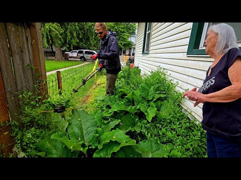 "I Tried To String Trim Entire Yard At 80"... Let Me Do It For You!