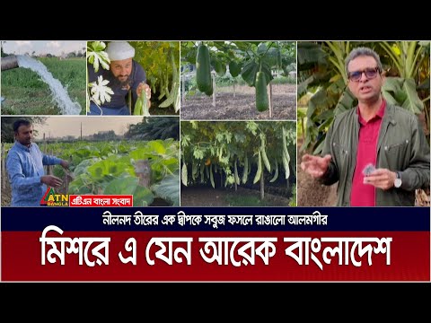 সবুজ ফসলে মিশর রাঙিয়ে সাড়া ফেলেছে বাংলাদেশের আলমগীর । Vegetable | Egypt | Alamgir | Nile River