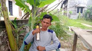 Download lagu Kusayang- padamu-  malu malu ternyata suaranya.... seperti *Rhoma Irama* mp3