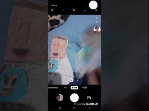 Felipe e Daniel em mongo e drongo vs Felipe e Daniel pocket em mongo e drongo pocket