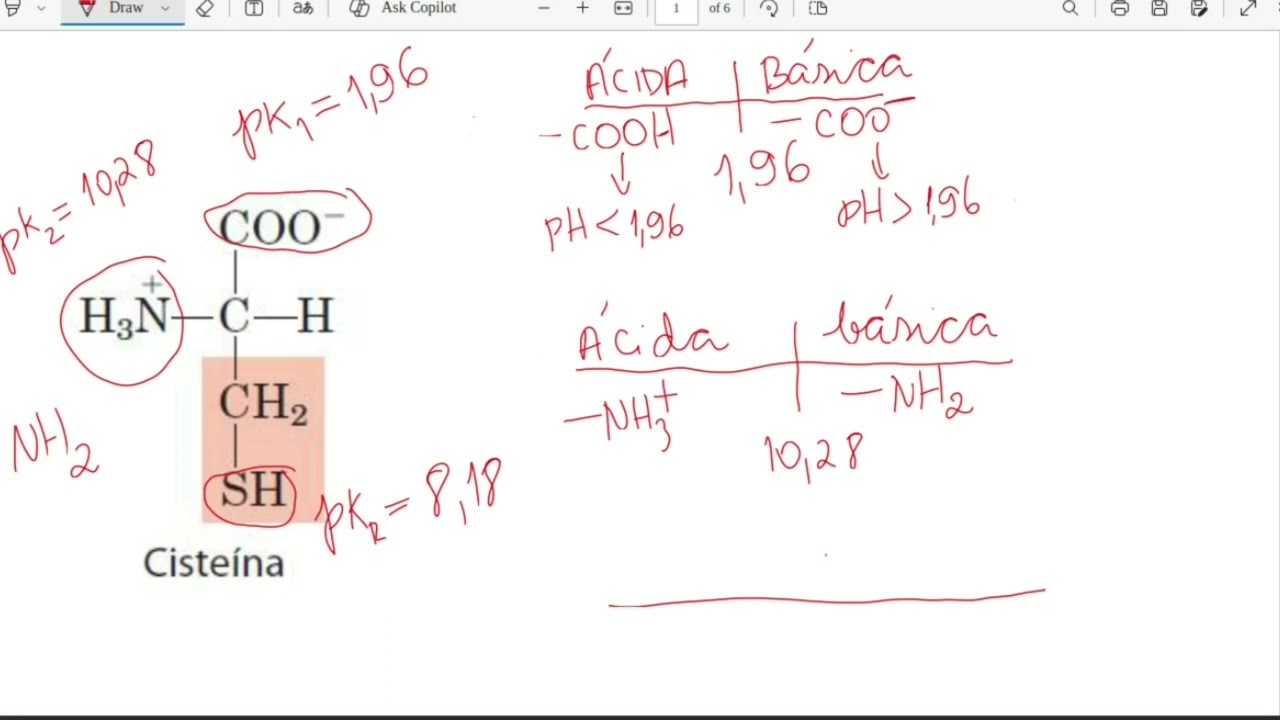 BIOQUÍMICA: FORMA PROTONADA E DESPROTONADA DE UM AMINOÁCIDO EM FUNÇÃO DO pH DO MEIO.