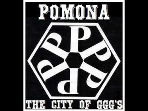 Funky Expedition ~ Conscious Daughters