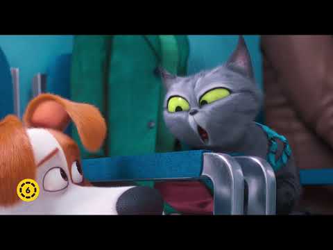 A kis kedvencek titkos élete 2. - Szinkronos előzetes #1 (6E)