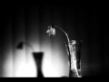 Zbigniew Preisner - The Beautiful Country