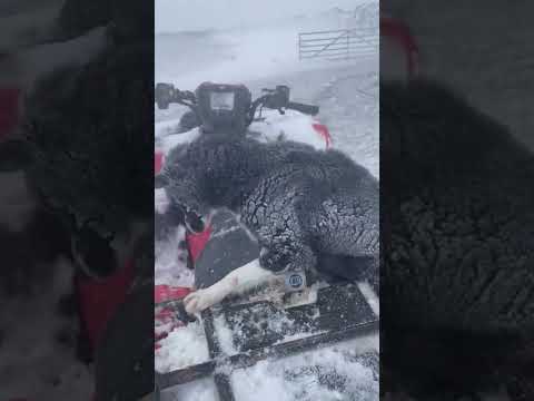 Wowzer it’s cold ☃️