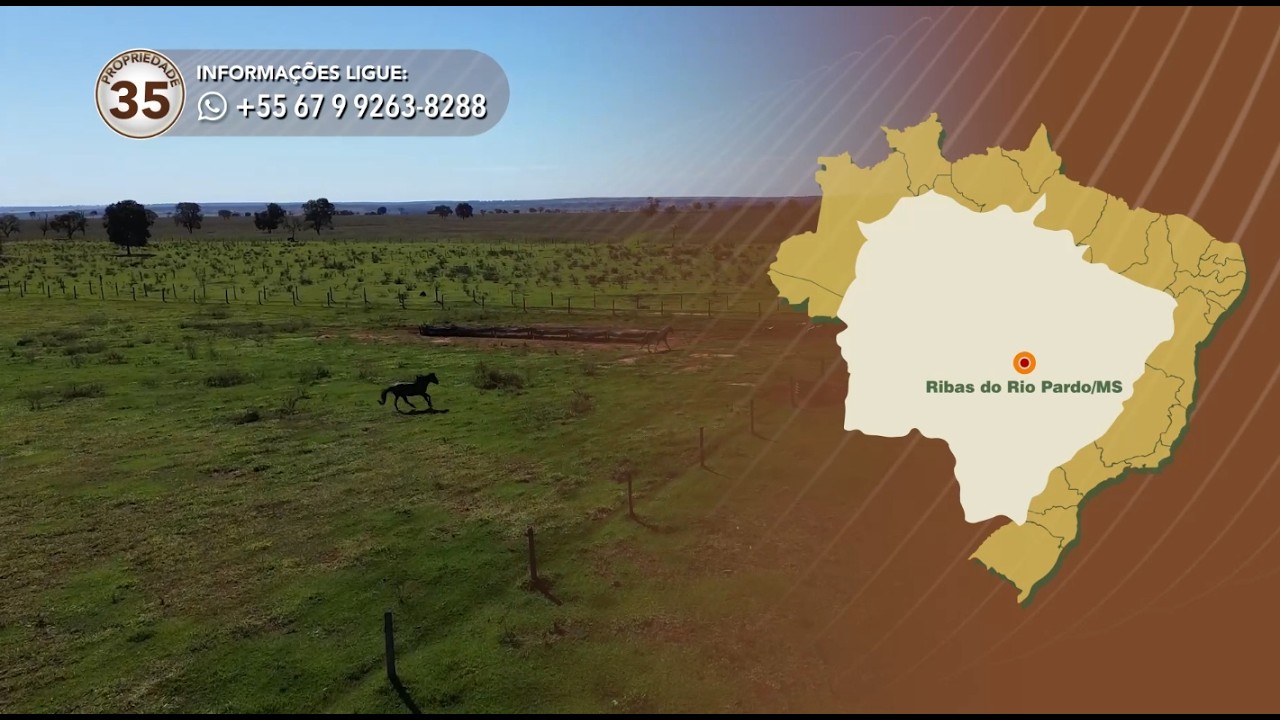 Terralmo 35: Fazenda para arrendamento em Ribas do Rio Pardo/MS
