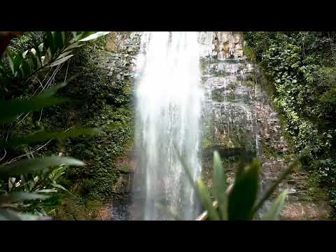Natural waterfall/ short video/