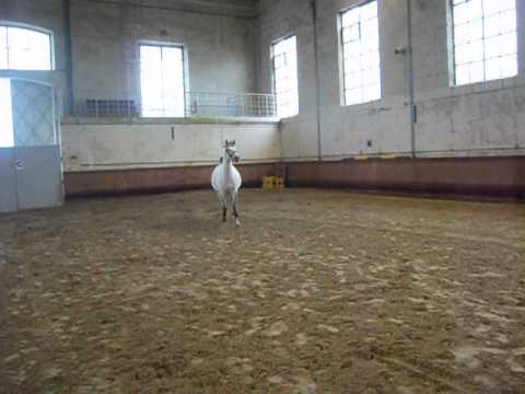 Unique de Parcey - A vendre