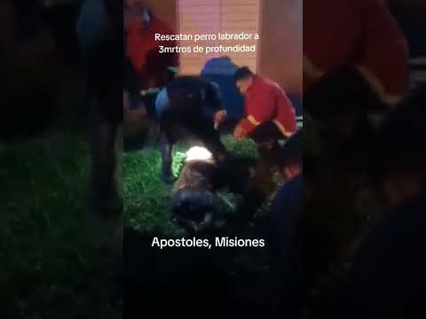 Rescatan perro labrador en pozo de 3 metros de profundidad en Apóstoles Misiones #misionesargentina