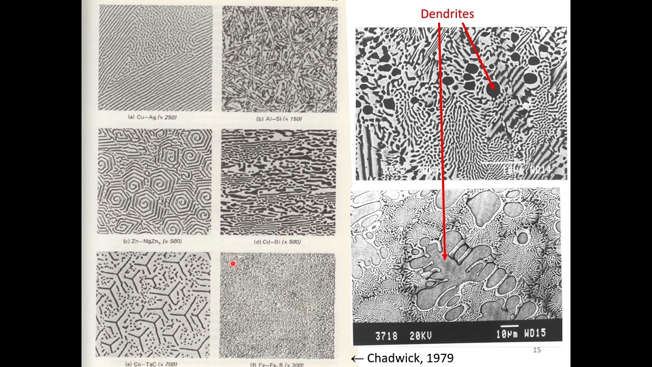 Interpreting Microstructures