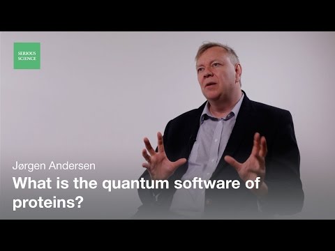 Jørgen Andersen - Protein Folding Using Quantum Topology