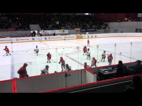 HC Frýdek-Místek - Přípravka