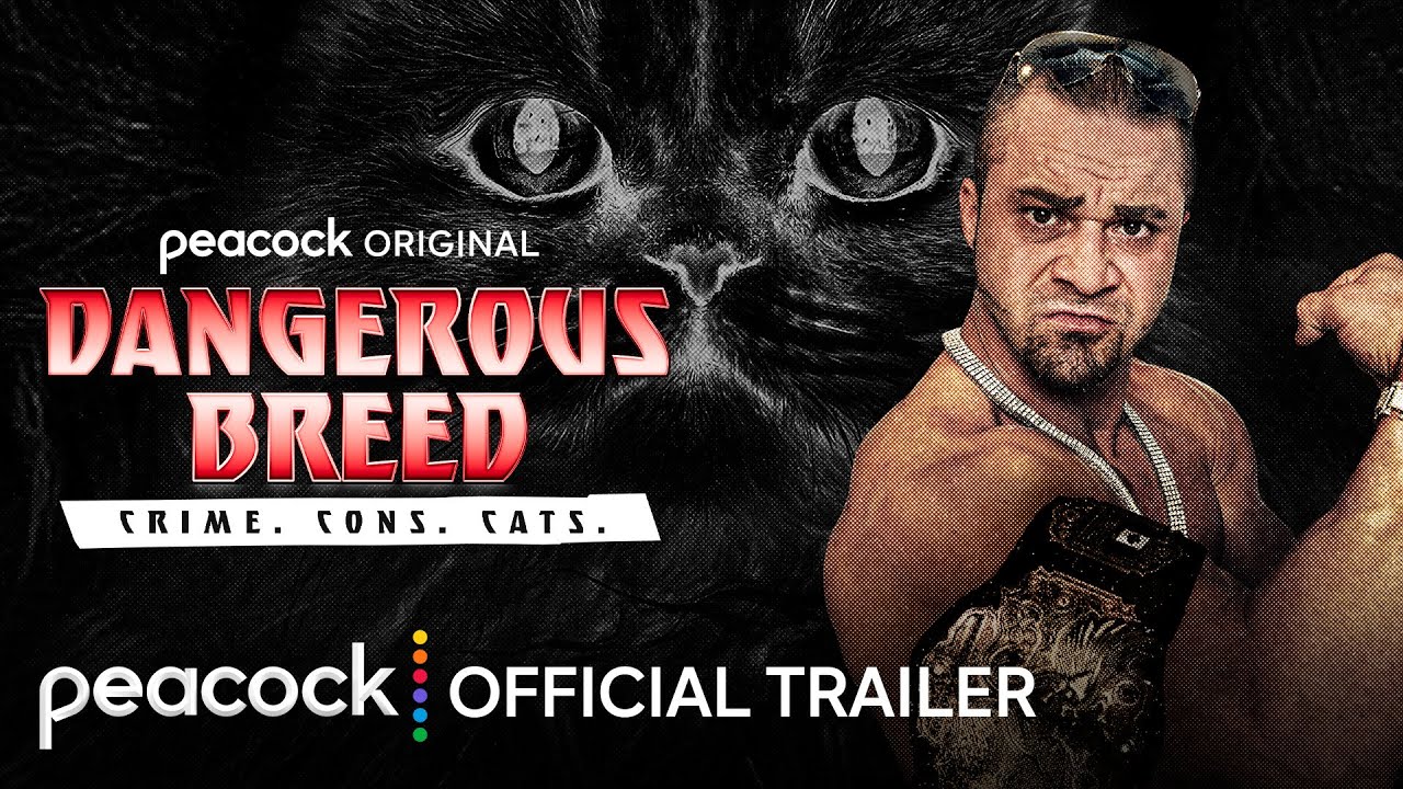 Official Trailer