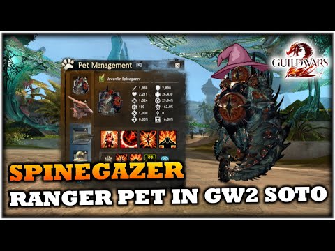 How to Unlock the Spinegazer Ranger Pet in Guild Wars 2 Secrets of the Obscure
