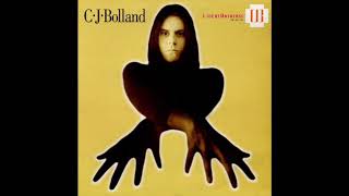 C•J•Bolland ‎– The Future Has Always Happened