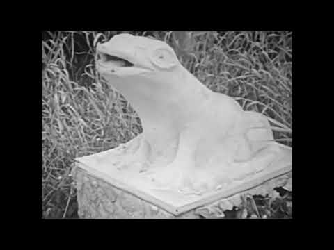 ŽABOKREKY NAD NITROU 70.ROKY ...