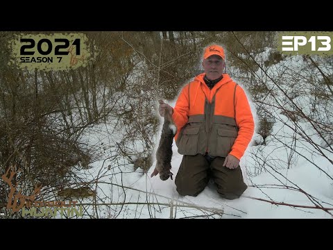 YouTube video about: How to rabbit hunt without a dog?