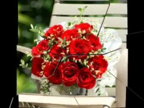 miami suites motel in kuwait