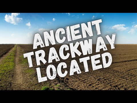 Hidden Treasures Unearthed: Metal Detecting Uncovers Ancient Coins and Artefacts