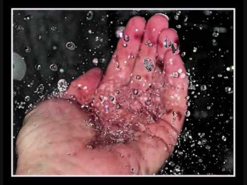 Baby Washington A Handful of Memories