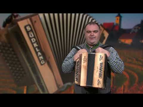 RJB Steirische Harmonika Seminar in Slowenien - Rene Brilej