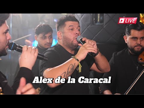 Alex de la Caracal - Sistem Aspirator de Gagici❌Majorat Alin Vizitiu Craiova