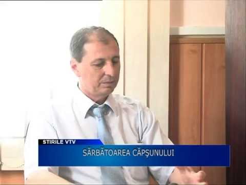 Sarbatoarea capsunului