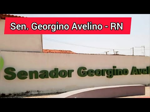 03 / 167   SEN.   GEORGINO  AVELINO  - RN     ( Litoral da  Garça Azul  )
