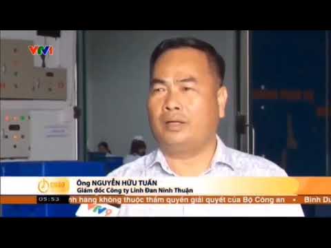 Linh Đan Group từng bước phát triển xuất khẩu đối với sản phẩm Măng Tây xanh tại Ninh Thuận 2025