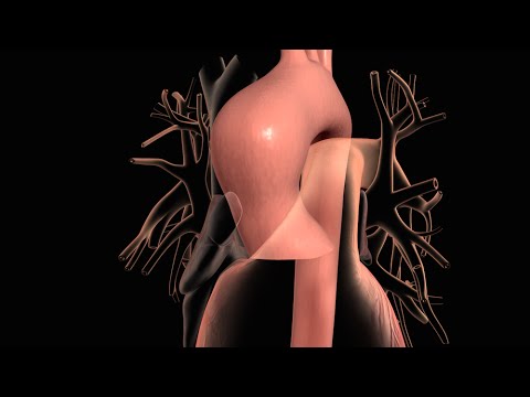 Anchilosante della colonna vertebrale cervicale Quanto tempo per guarire le spalle legamenti