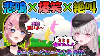 【隠れた名作】絶叫あり!悲鳴あり!爆笑あり!あすみとひーちゃんのスーパーバニーマンまとめ【空澄セナ/あすみせな/ぶいすぽっ!/切り抜き/橘ひなの】