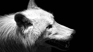 Nothryon - Beneath the Daylight