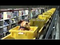 amazon.de Versandablauf (Fulfillment Center Leipzig)