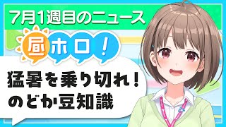 【#昼ホロ】猛暑に負けない✨️ホロ活と豆知識で夏に挑む❗️お昼のまったりニュース📝✨️【春先のどか/holoAN】