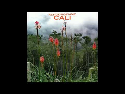 Aerodroemme  - Cali