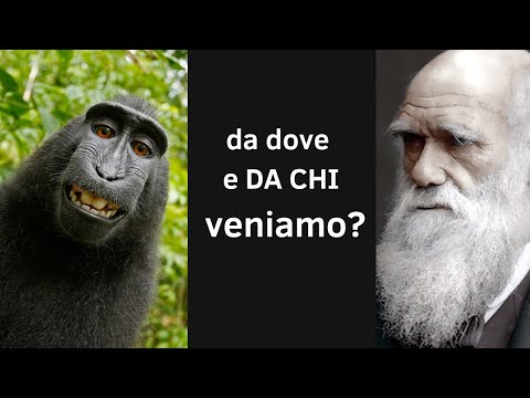 L’UOMO NON DERIVA DALLA SCIMMIA 🐒 #evoluzione #darwin #biologia #genetica